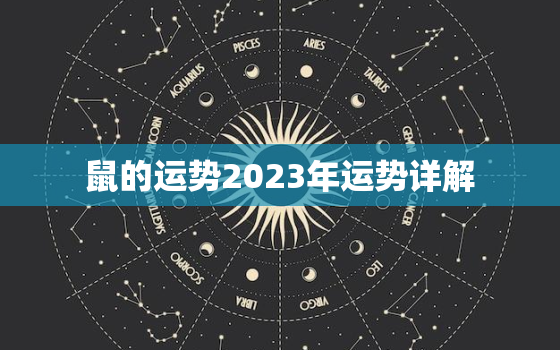 鼠的运势2023年运势详解，鼠2023年运势详解全年运程
