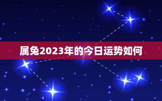 属兔2023年的今日运势如何，属兔2023年的今日运势如何看