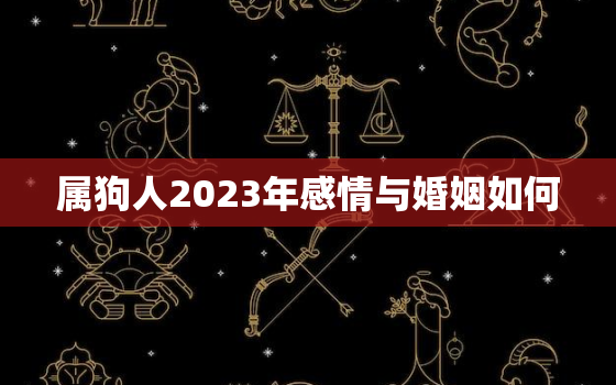 属狗人2023年感情与婚姻如何，属狗在2023年全年运势如何