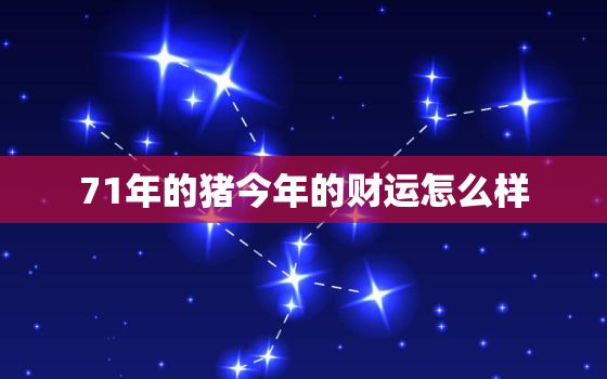 71年的猪今年的财运怎么样，71年属猪的今年的财运怎么样