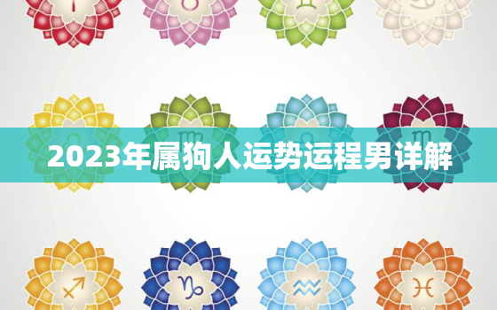 2023年属狗人运势运程男详解，2023年属狗人全年运势