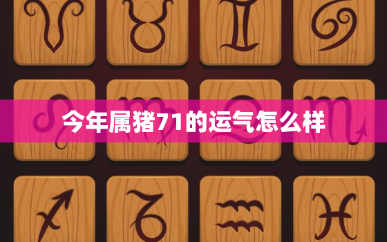 今年属猪71的运气怎么样，属猪的今年运势如何1971年