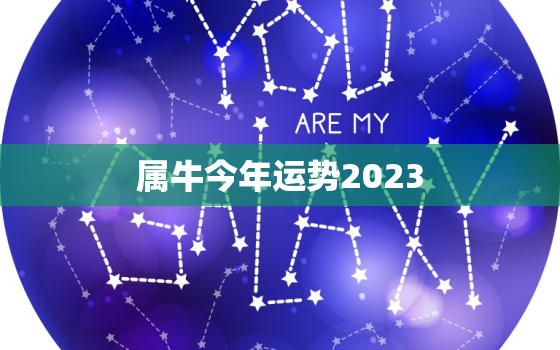 属牛今年运势2023，属牛今年运势2023年每月运势