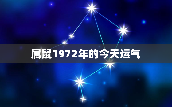 属鼠1972年的今天运气，属鼠1972年的今天运气如何