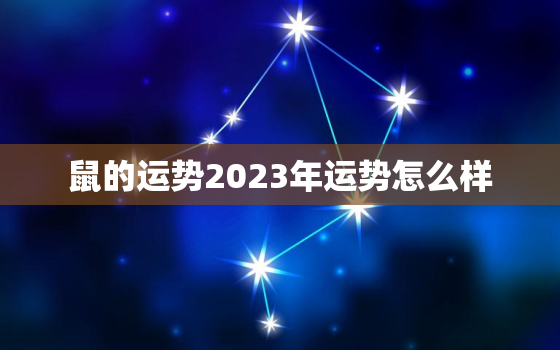 鼠的运势2023年运势怎么样，鼠2023年的运气