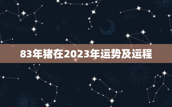 83年猪在2023年运势及运程，83年属猪人2023年运势运程每月运程