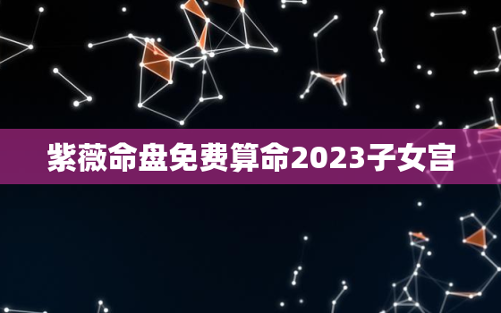 紫薇命盘免费算命2023子女宫，
斗数看子女宫