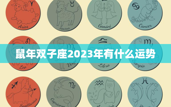 鼠年双子座2023年有什么运势，鼠年的双子座