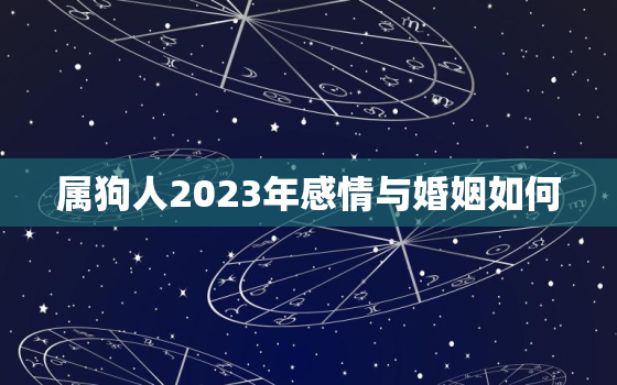 属狗人2023年感情与婚姻如何，属狗人2023年感情与婚姻如何