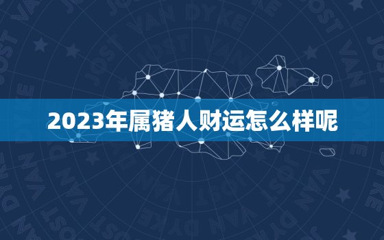 2023年属猪人财运怎么样呢，2023年属猪的运势怎么样