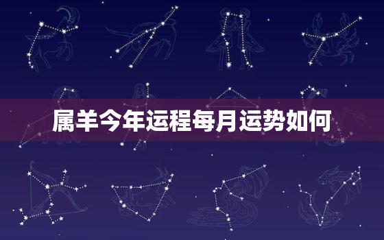 属羊今年运程每月运势如何，属羊今年运程每月运势如何看