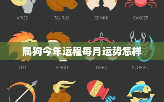 属狗今年运程每月运势怎样，属狗的今年每月运程