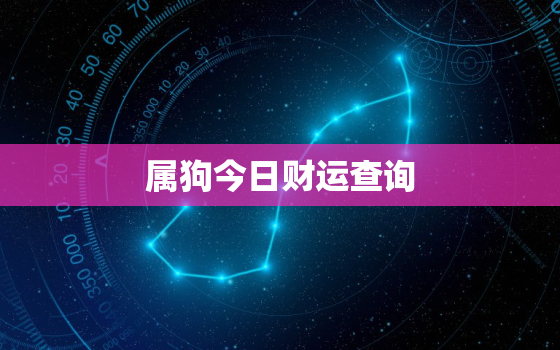 属狗今日财运查询，属狗今日财运查询运势