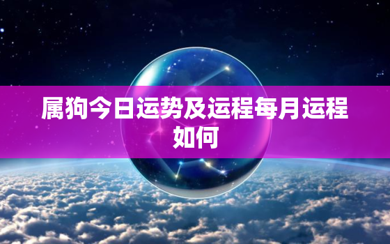 属狗今日运势及运程每月运程如何，属狗今日运势及运程每月运程如何看