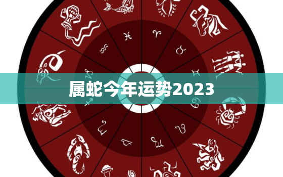 属蛇今年运势2023，属蛇今年运势2023年每月运势