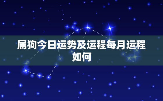 属狗今日运势及运程每月运程如何，属狗人今日运势十二星座网