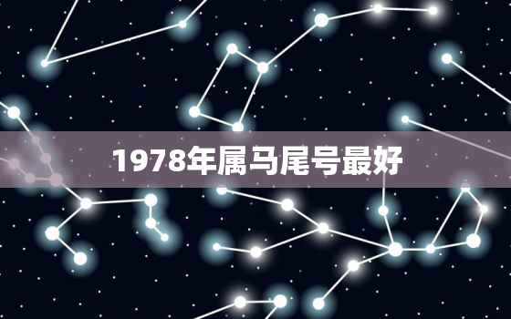 1978年属马尾号最好，1978年属马吉祥号码