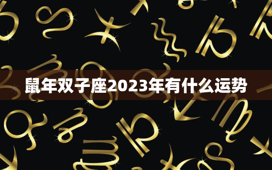 鼠年双子座2023年有什么运势，2022年属鼠双子座运势