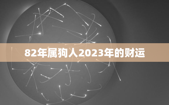 82年属狗人2023年的财运，82年属狗人2023年财运怎么样