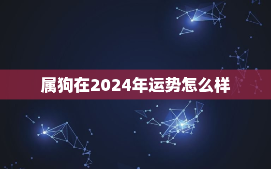 属狗在2024年运势怎么样，属狗2024年运势及运程每月运程狗