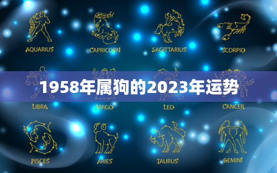 1958年属狗的2023年运势，1993年在2023年属鸡人的全年运势