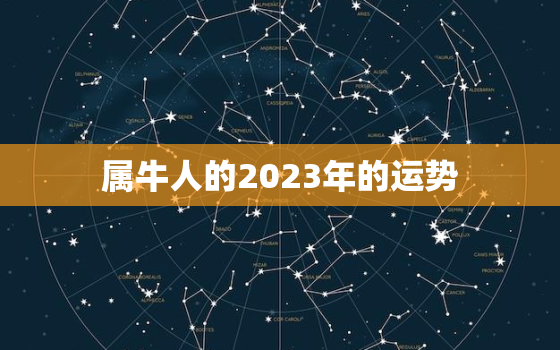 属牛人的2023年的运势，属牛人2023年的运势和财运