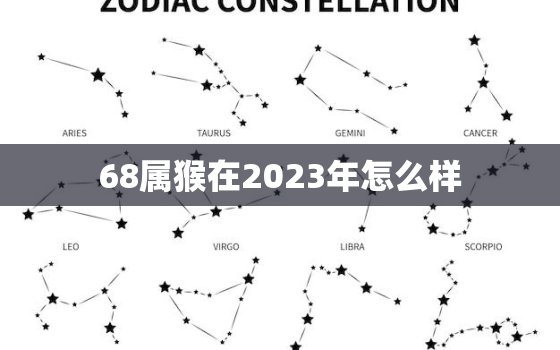 68属猴在2023年怎么样，68年猴2023年运势及运程每月运程