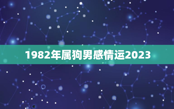 1982年属狗男感情运2023，1982年属狗男2023年全年运势