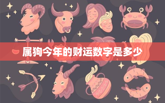 属狗今年的财运数字是多少，属狗的今年财运怎样