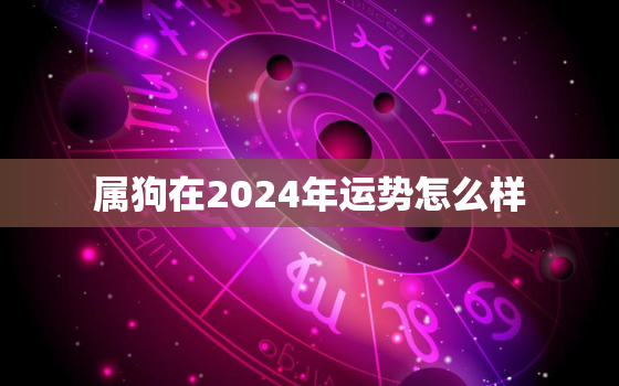 属狗在2024年运势怎么样，属狗在2024年运势如何