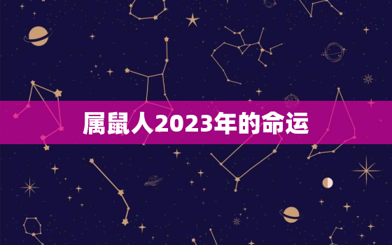 属鼠人2023年的命运，属鼠的人2023年运势及运程