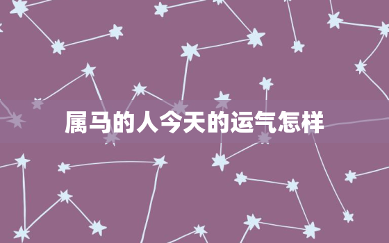 属马的人今天的运气怎样，2022年属马下半年要出大事