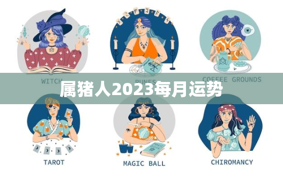 属猪人2023每月运势，属猪2023年运势及运程及每月运势