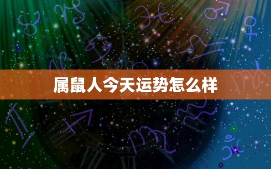 属鼠人今天运势怎么样，属鼠人今天运势怎么样呢