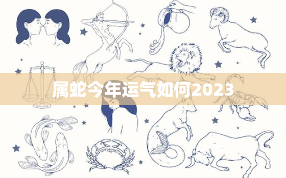 属蛇今年运气如何2023，属蛇今年运气如何2020