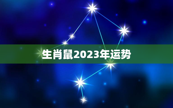 生肖鼠2023年运势，2008年生肖鼠2023年运势