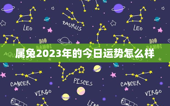 属兔2023年的今日运势怎么样，属兔今年运势2023年运势