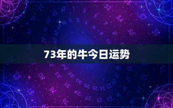 73年的牛今日运势，73年属牛今日运势及财运