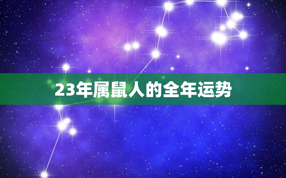 23年属鼠人的全年运势，2023年属鼠人的全年运势