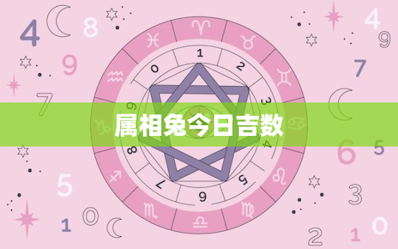 属相兔今日吉数，生肖兔今日吉时