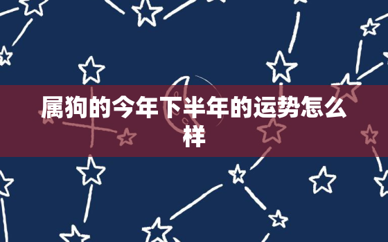 属狗的今年下半年的运势怎么样，属狗的今年下半年的运势怎么样呀