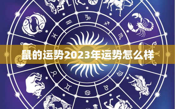 鼠的运势2023年运势怎么样，鼠2023年运势大全