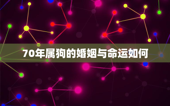 70年属狗的婚姻与命运如何，70年属狗人的婚姻状况