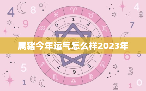 属猪今年运气怎么样2023年，属猪的今年运气好吗