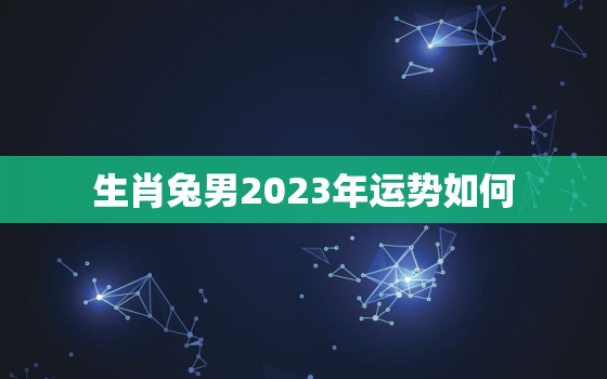 生肖兔男2023年运势如何，兔男在2021年运势