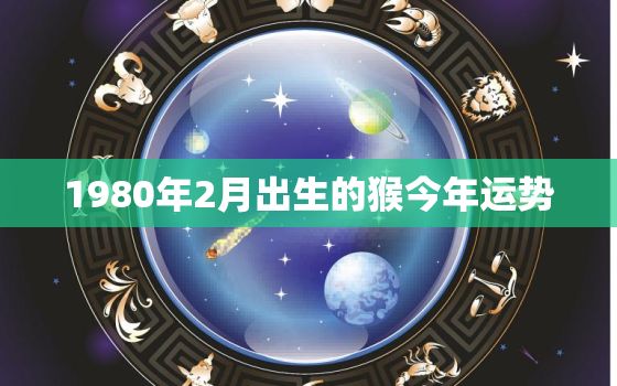 1980年2月出生的猴今年运势，1980年2月属猴的是什么命运