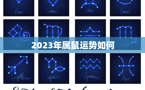 2023年属鼠运势如何，72的鼠在2023年属鼠运势如何