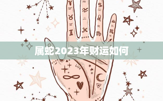 属蛇2023年财运如何，属蛇人在2023年的运势如何