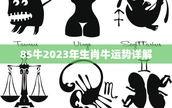 85牛2023年生肖牛运势详解，1985属牛的在2023年运气