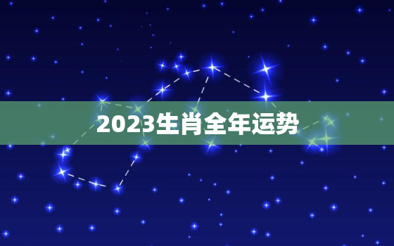 2023生肖全年运势，2023年生肖运程